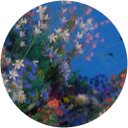 Lorena Valdez profile picture